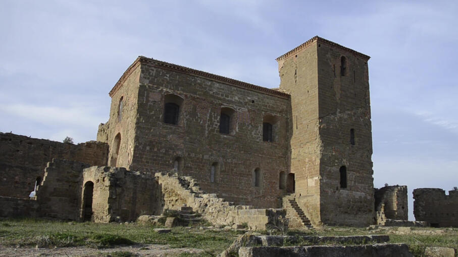 Amigos de Montearagón: 20 años de Historia